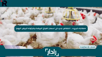 «مفاجأة كبرى».. انخفاض جديد في أسعار الفراخ البيضاء وكرتونة البيض اليوم!